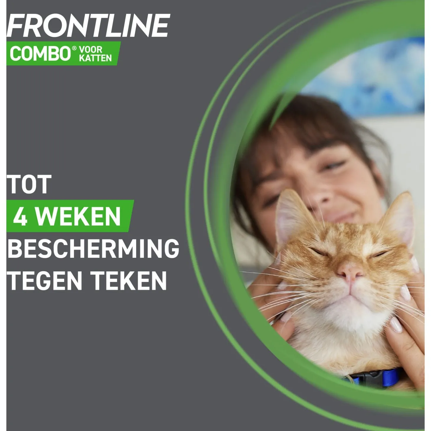 Frontline Combo Spot On Kitten - Anti vlooien en tekenmiddel - 1 pip