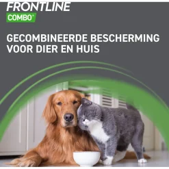 Frontline Combo Spot On Kitten - Anti vlooien en tekenmiddel - 1 pip