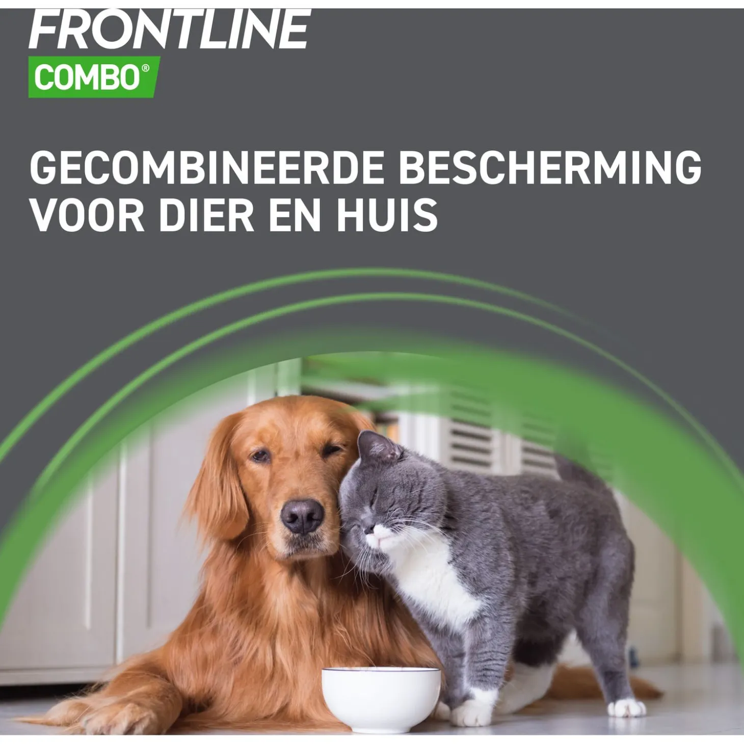 Frontline Combo Spot On Kitten - Anti vlooien en tekenmiddel - 1 pip