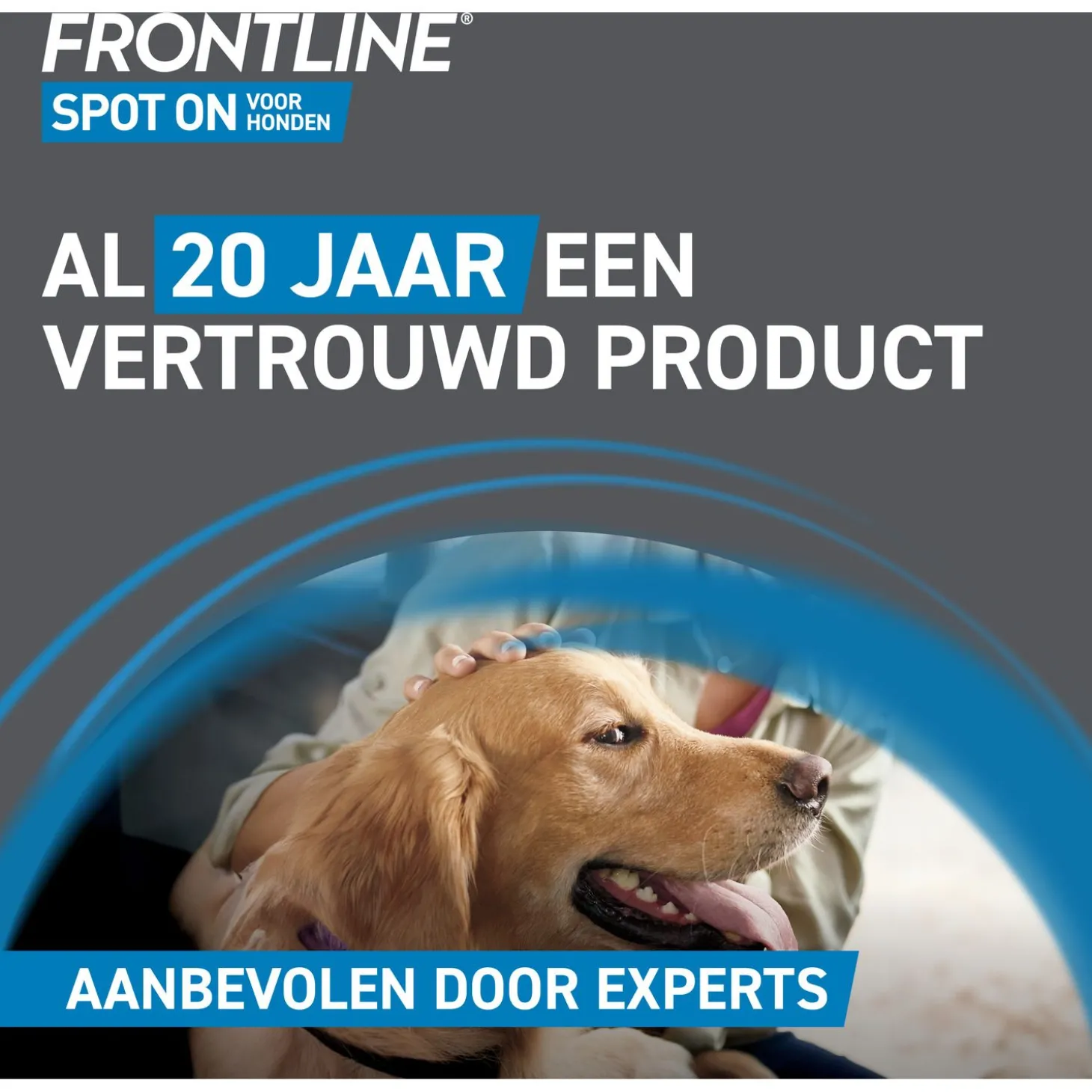 Frontline Spot On 2 Medium Hond Medium - Anti vlooien en tekenmiddel