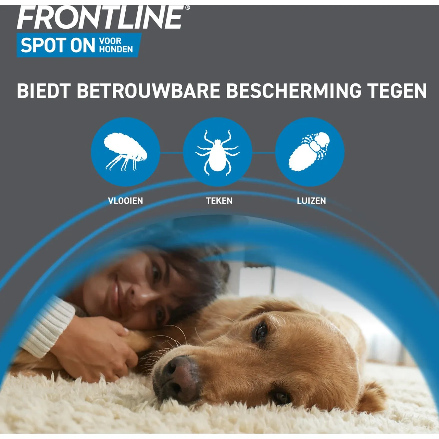 Frontline Spot On 2 Medium Hond Medium - Anti vlooien en tekenmiddel
