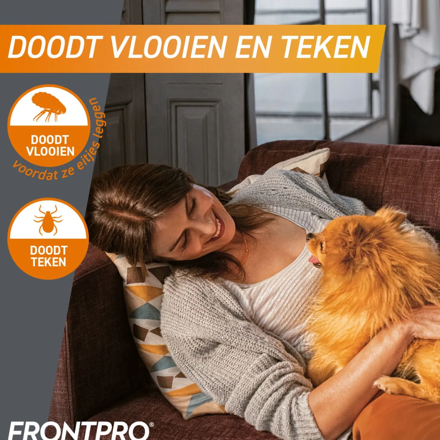 Frontpro Hond - Anti vlooien en tekenmiddel - 3 tab >10-25 Kg Large