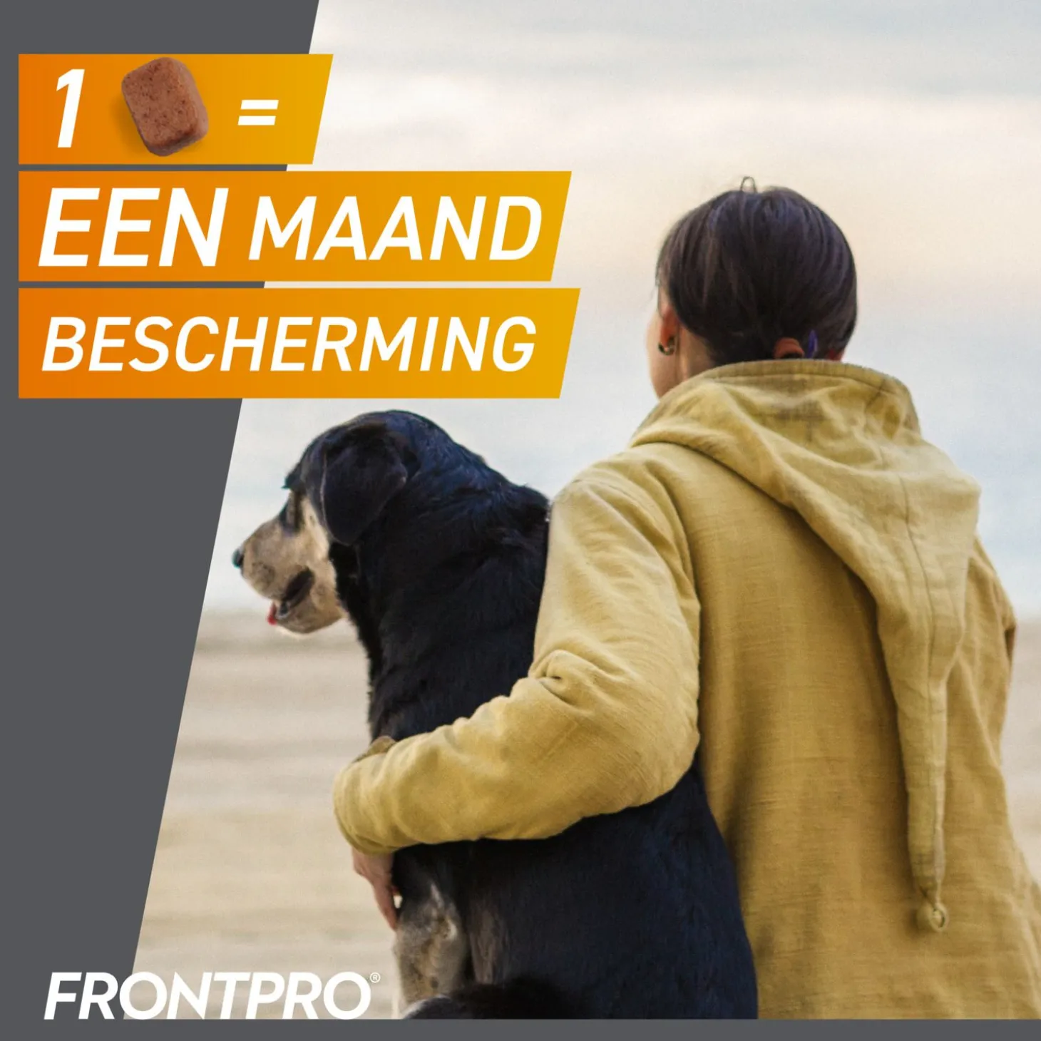Frontpro Hond - Anti vlooien en tekenmiddel - 3 tab >10-25 Kg Large