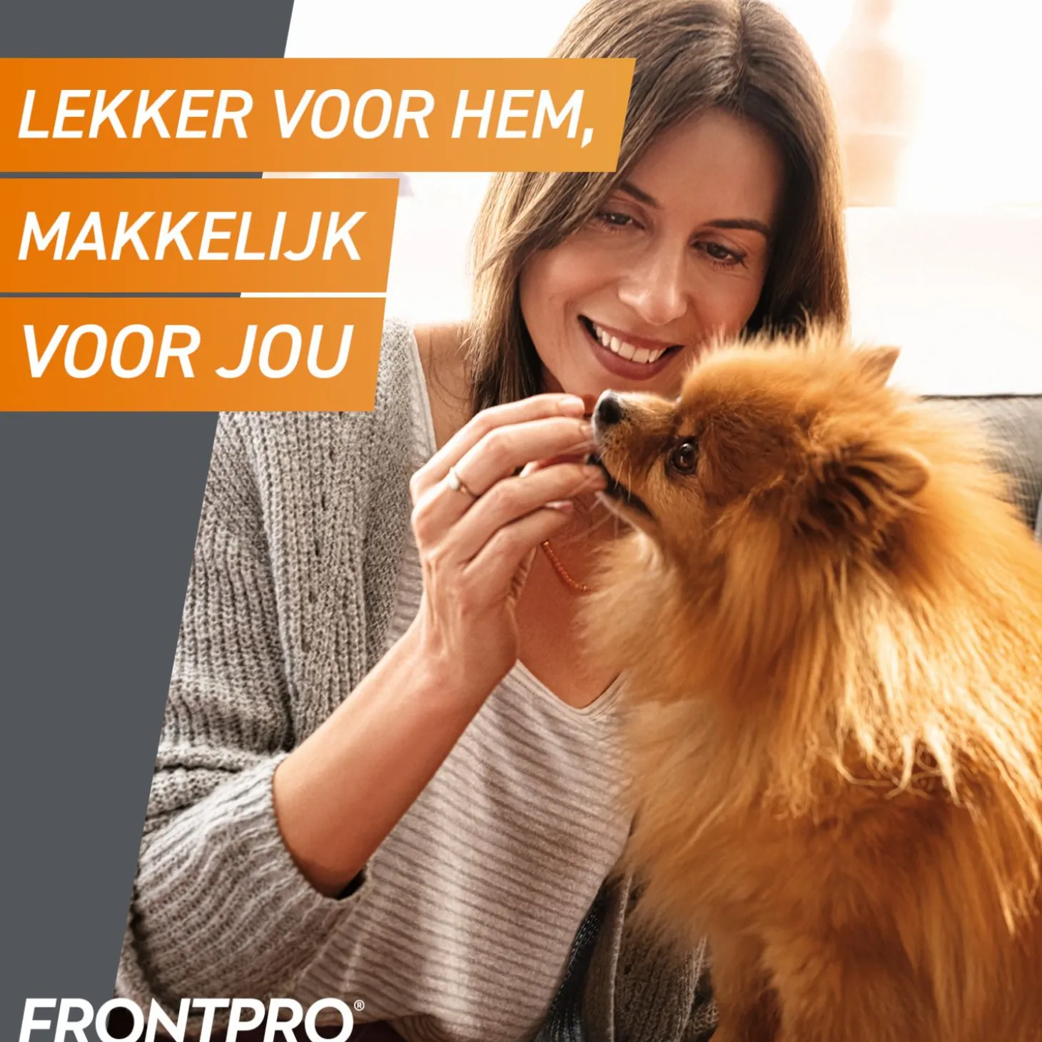 Frontpro Hond - Anti vlooien en tekenmiddel - 3 tab >10-25 Kg Large