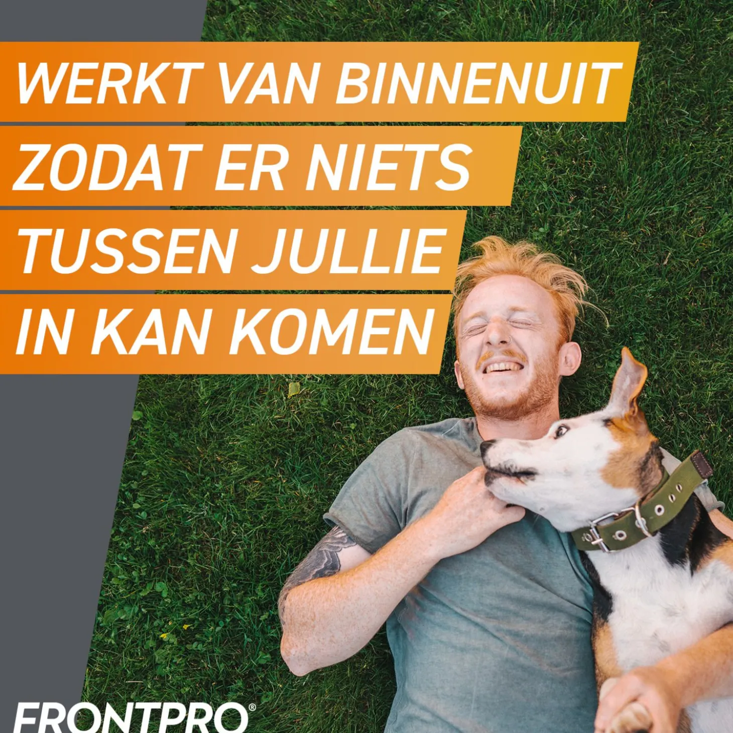 Frontpro Hond - Anti vlooien en tekenmiddel - 3 tab >10-25 Kg Large