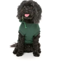Fuzzyard Honden Hoodie Flash - Hondenkleding - Groen Size 1