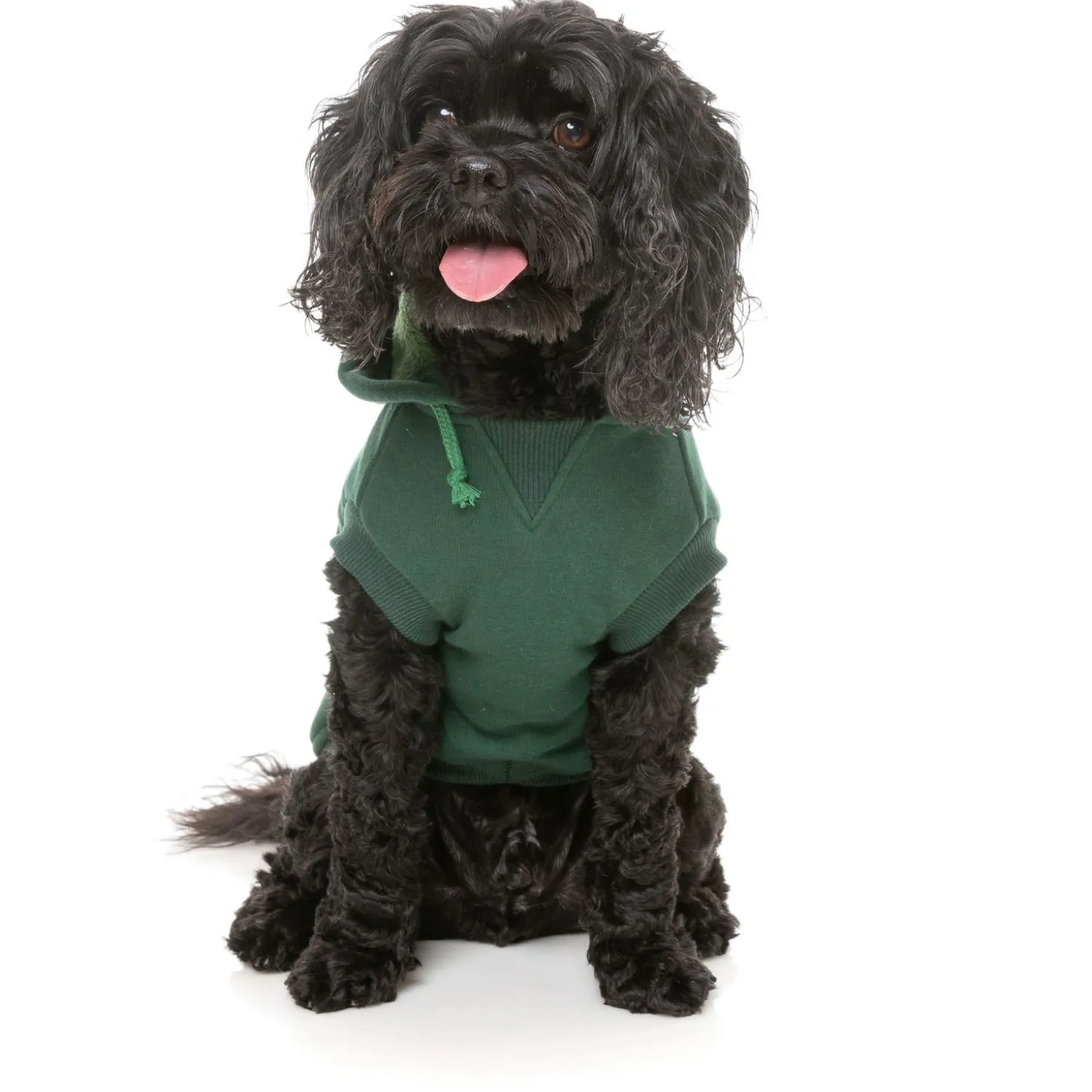 Fuzzyard Honden Hoodie Flash - Hondenkleding - Groen Size 1