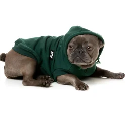 Fuzzyard Honden Hoodie Flash - Hondenkleding - Groen Size 5