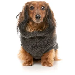 Fuzzyard Hondentrui Turtle Teddy - Hondenkleding - Zwart Size 1