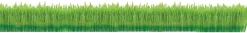 Gimcat Kattengras - Kattensnack - Natuur 150 g