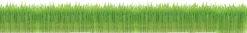 Gimcat Soft-Gras - Kattensnack - Natuur 100 g