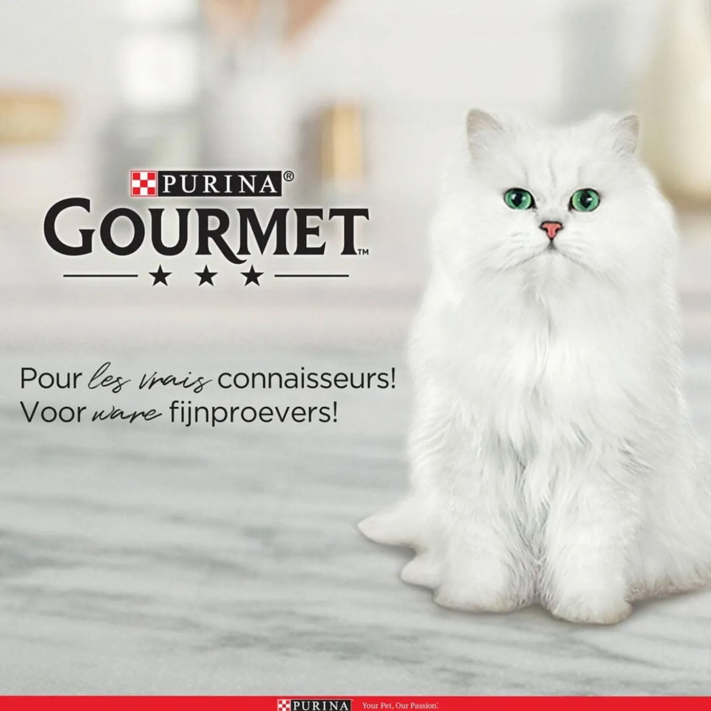 Gourmet Nature's Creations Exquisite Puree - Kattensnack - Kip Pompoen 5x10 g
