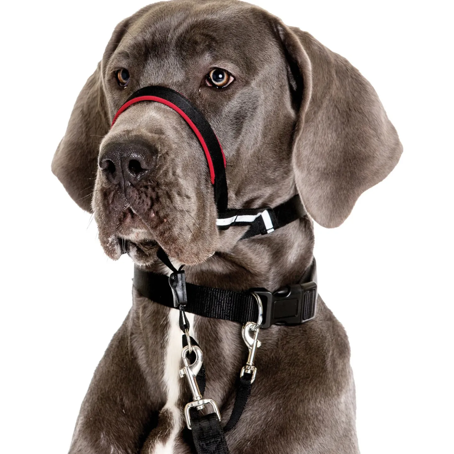 Halti Optifit Headcollar Zwart - Hondenopvoeding