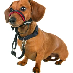 Halti Optifit Headcollar Zwart - Hondenopvoeding