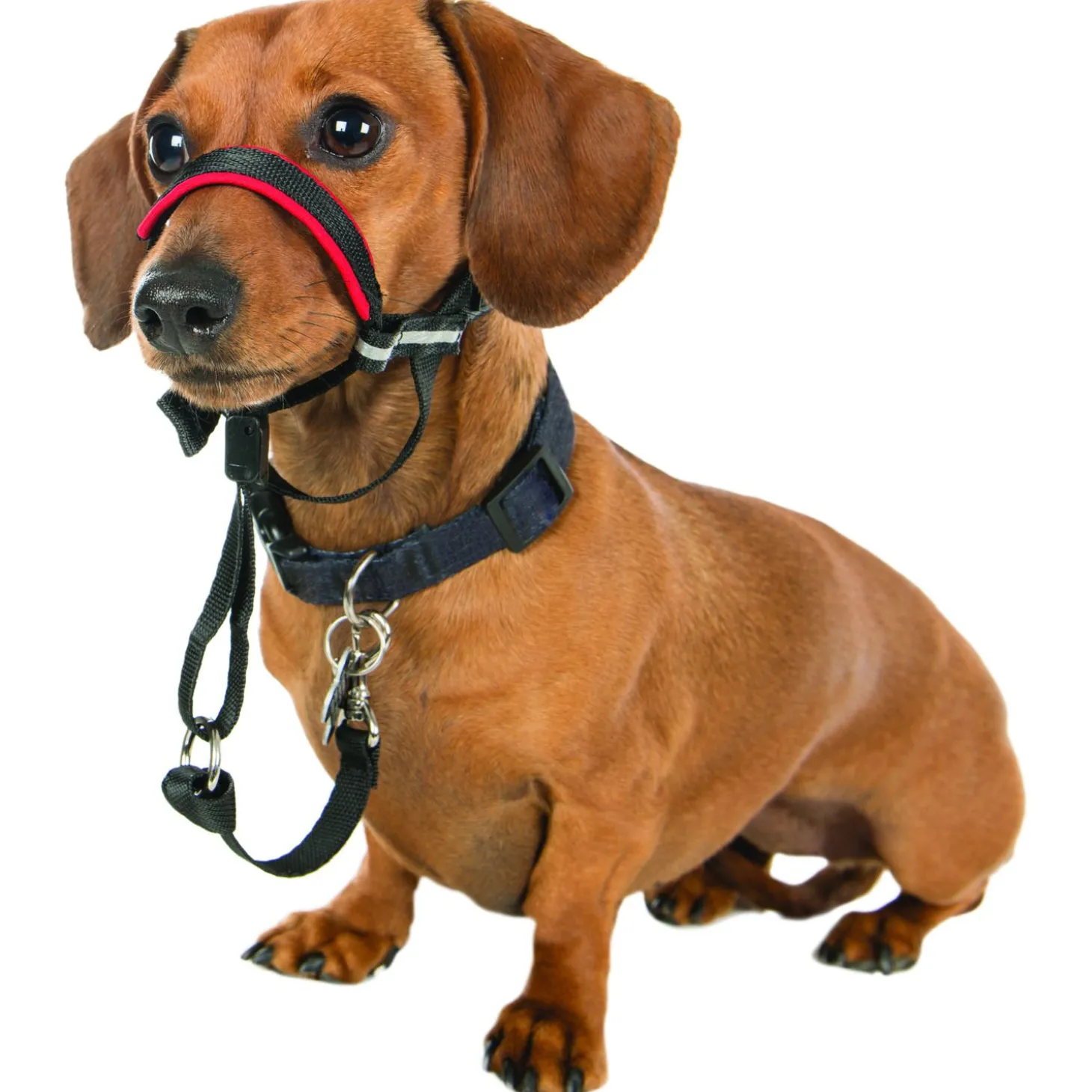 Halti Optifit Headcollar Zwart - Hondenopvoeding