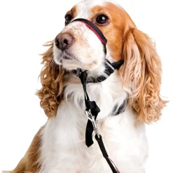 Halti Optifit Headcollar Zwart - Hondenopvoeding
