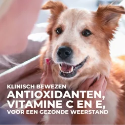 Hill's Canine Adult Sensitive Stomach And Skin - Hondenvoer