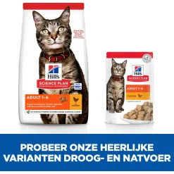 Hill's Feline Adult - Kattenvoer - Kip 10 kg