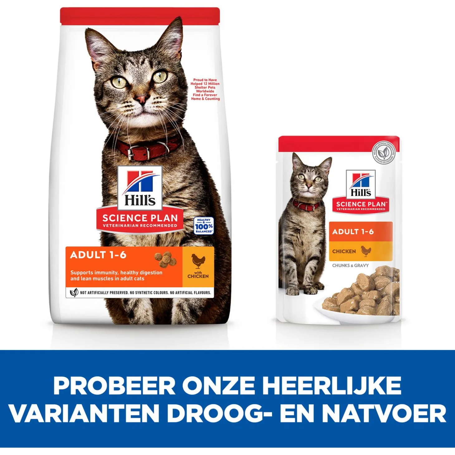 Hill's Feline Adult - Kattenvoer - Kip 10 kg
