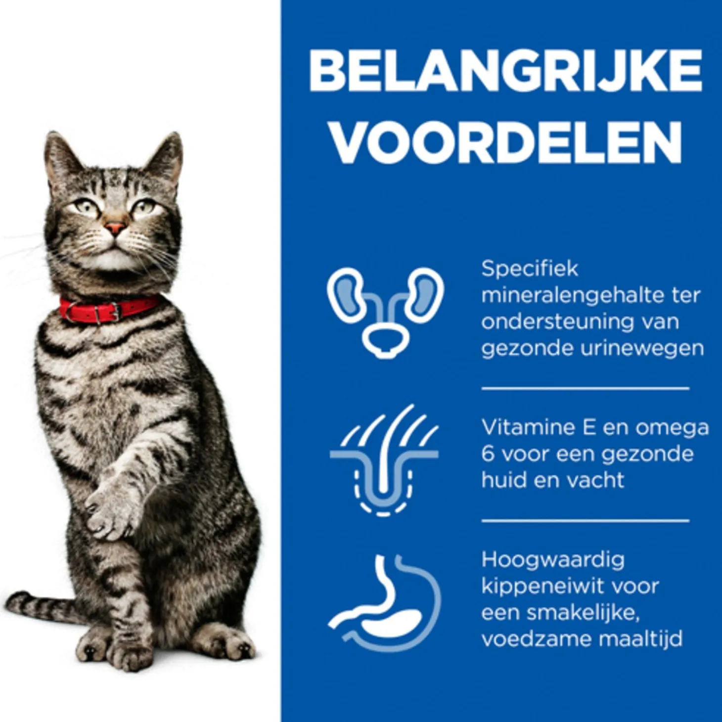 Hill's Feline Adult Urinary Sterilised - Kattenvoer