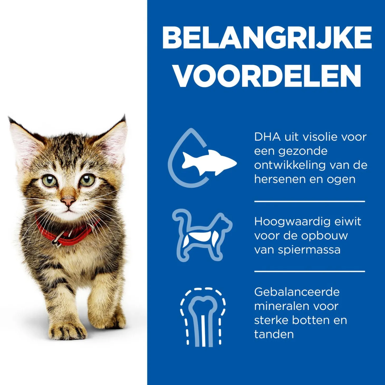 Hill's Feline Maaltijdzakjes Kitten 85 g - Kattenvoer