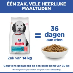 Hill's Hypoallergenic Adult Large - Hondenvoer - Zalm 14 kg