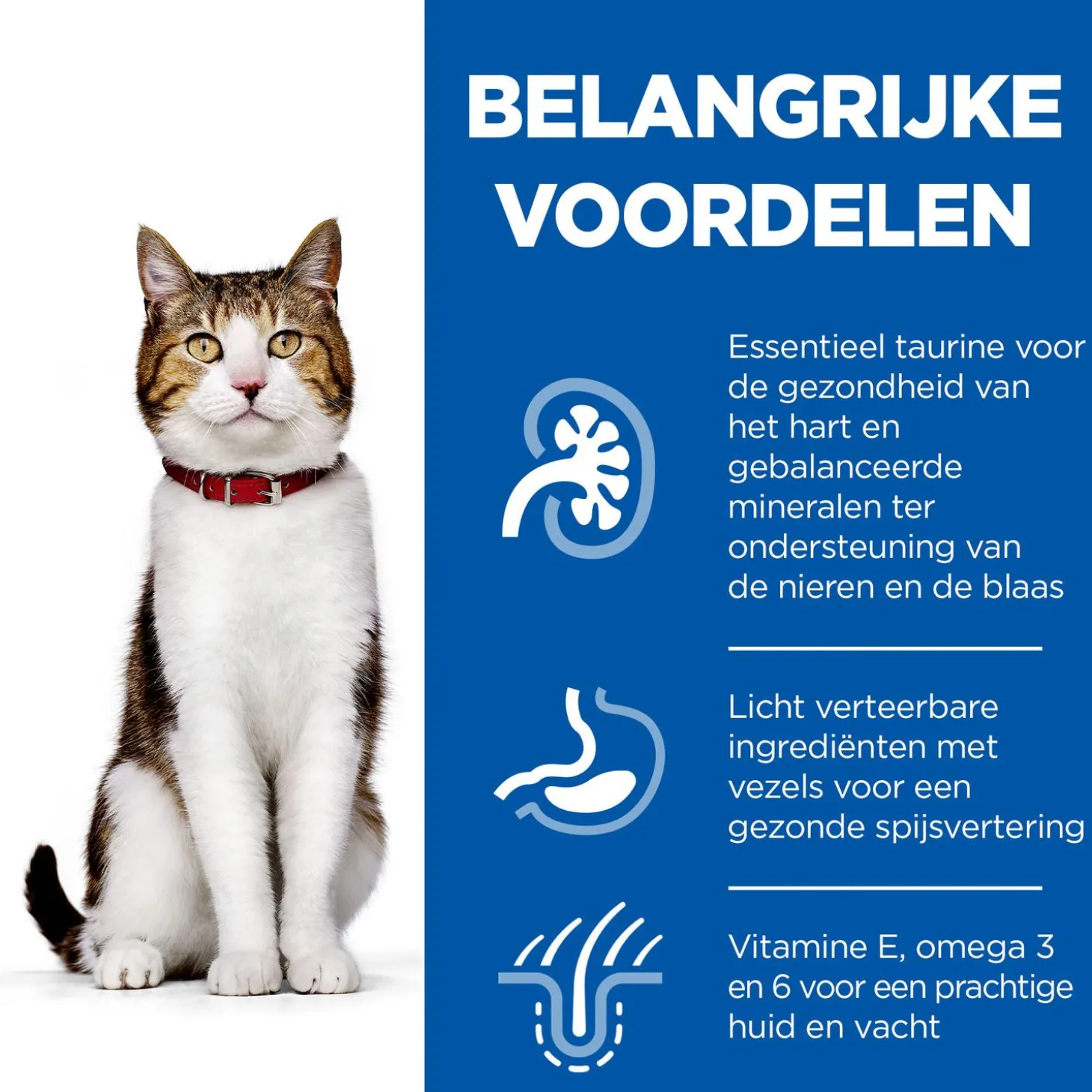 Hill's Mature Adult - Kattenvoer - Kip 10 kg