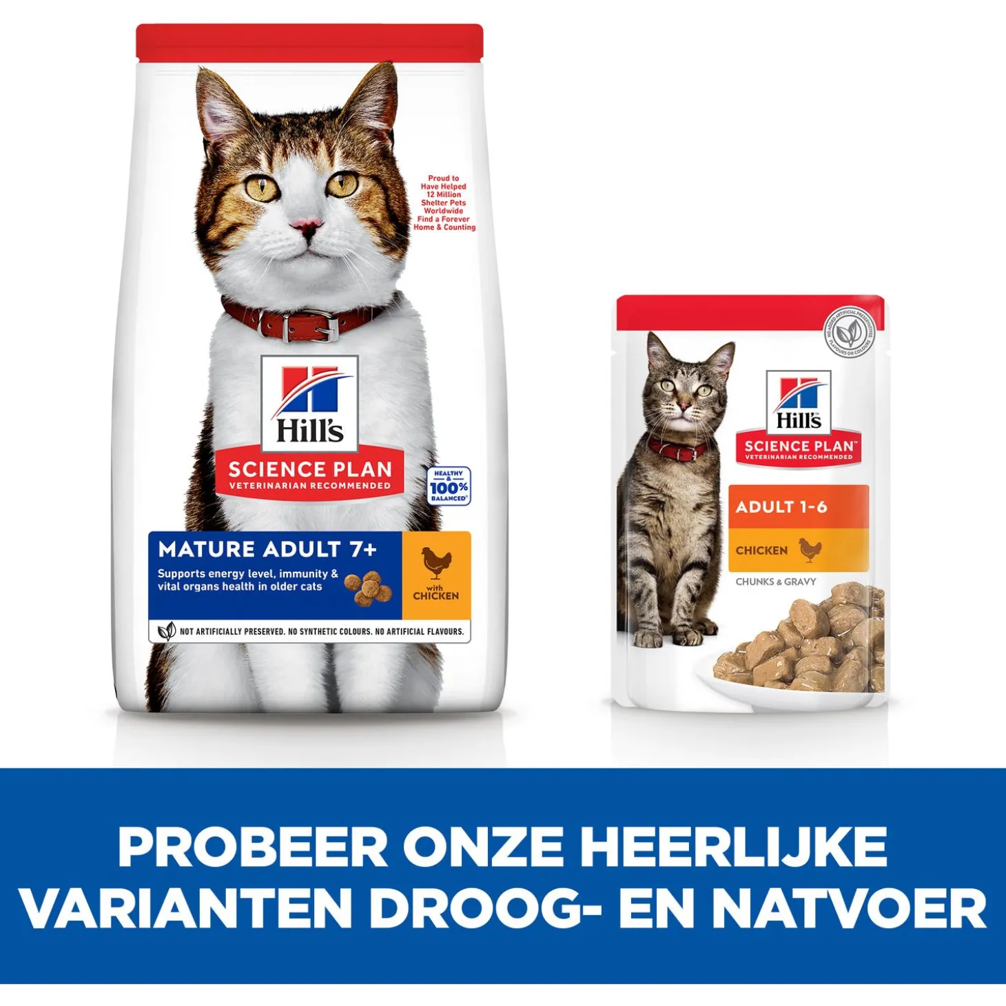 Hill's Mature Adult - Kattenvoer - Kip 10 kg