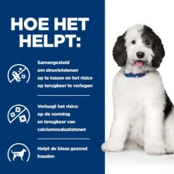 Hill's Prescription Diet C/D Multicare Urinary Care Stoofpotje Blik - Hondenvoer - Kip Groente 156 g