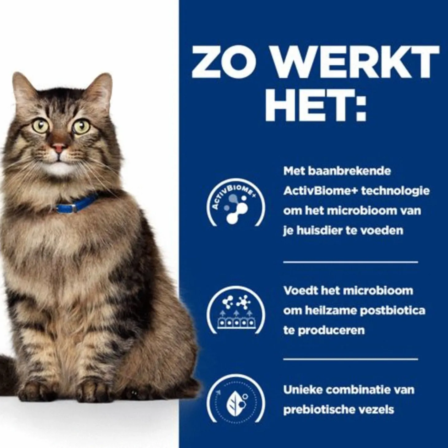 Hill's Prescription Diet Gastrointestinal Biome Digestive+ Fibre Care Zak Kip - Kattenvoer
