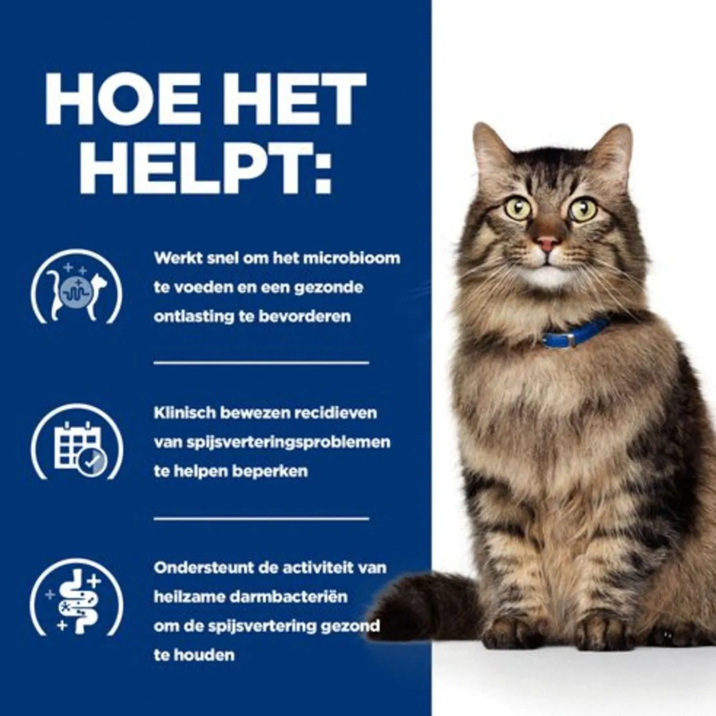 Hill's Prescription Diet Gastrointestinal Biome Digestive+ Fibre Care Zak Kip - Kattenvoer