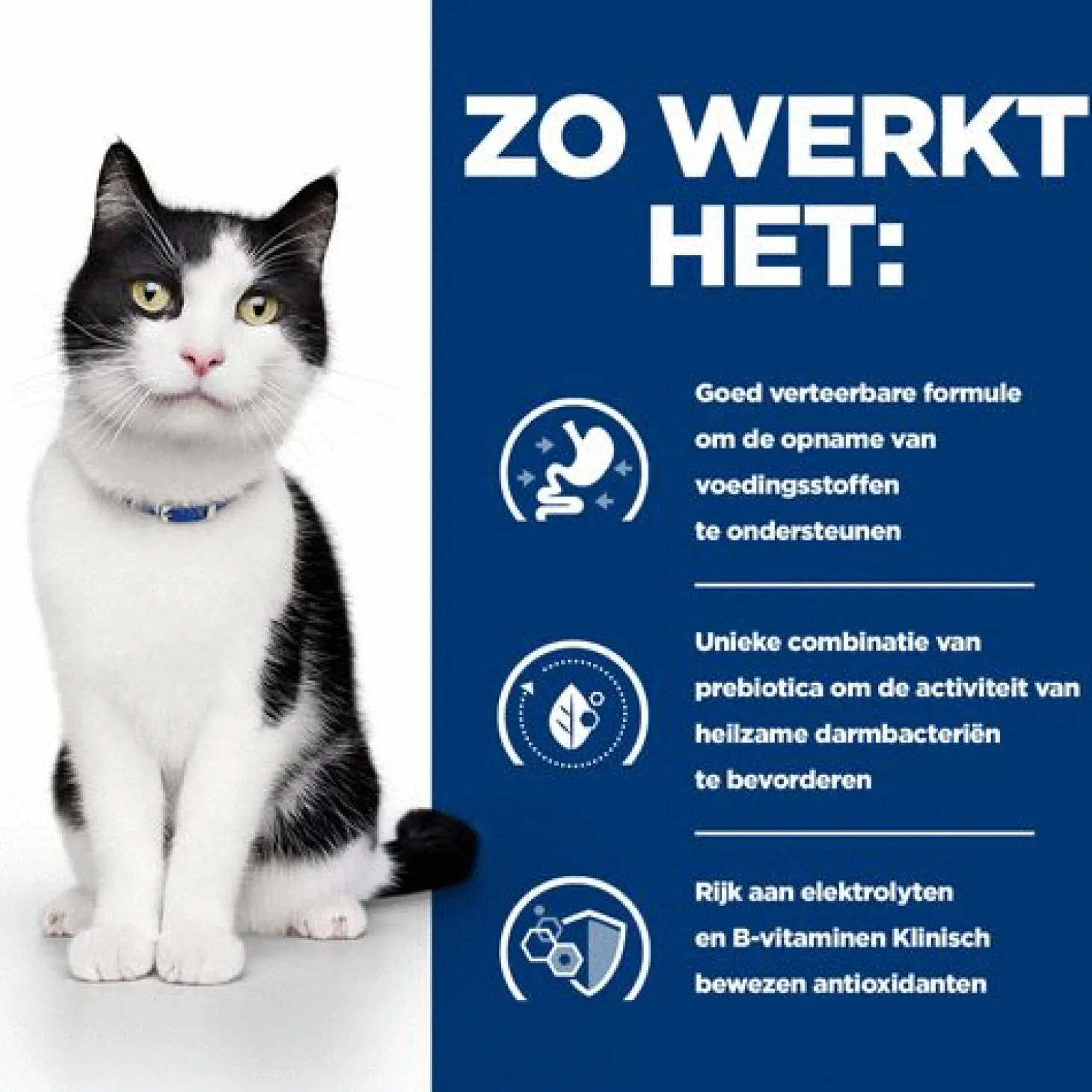 Hill's Prescription Diet I/D Digestive Care Zak - Kattenvoer - Kip 3 kg