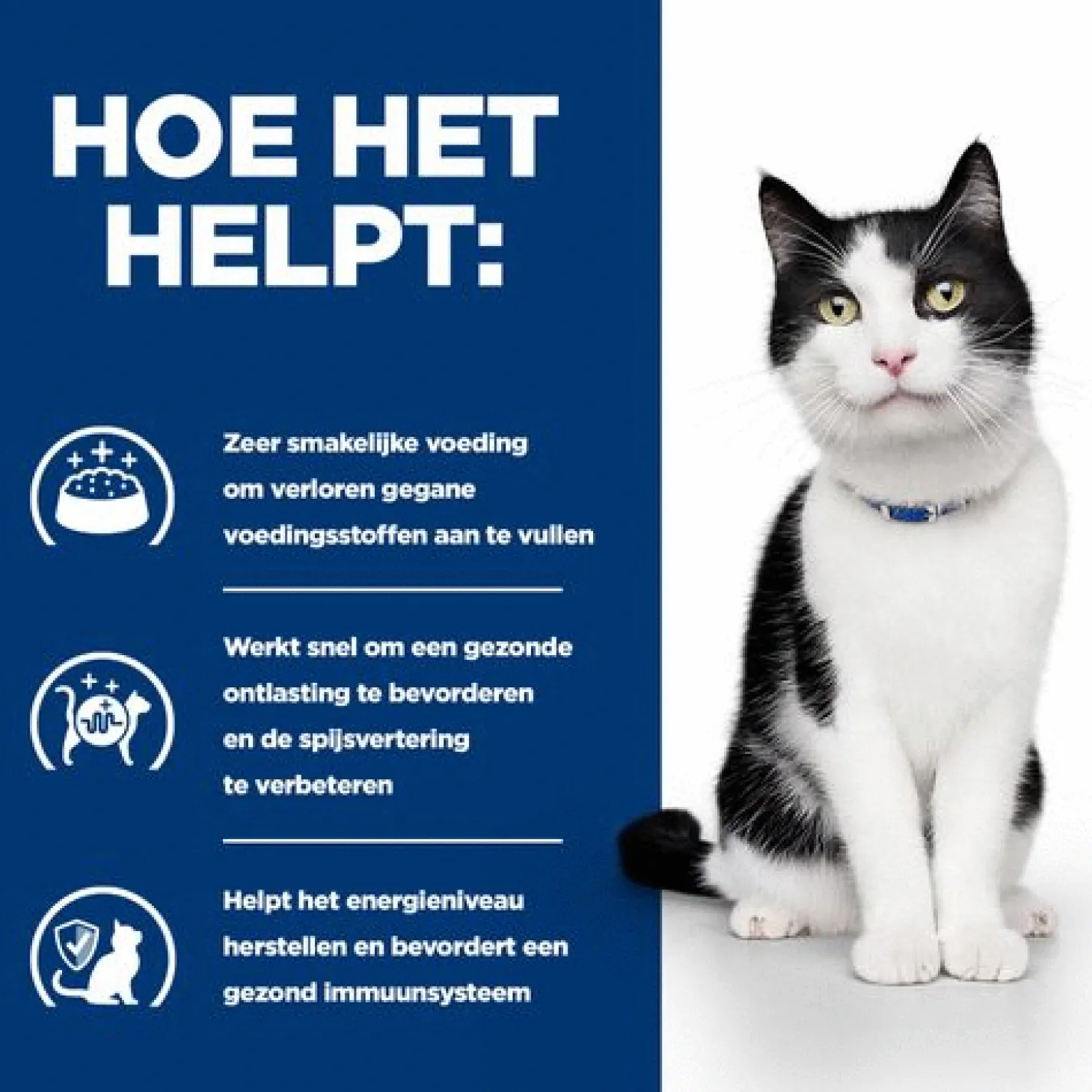 Hill's Prescription Diet I/D Digestive Care Stoofpotje Blik - Kattenvoer - Kip Groente 82 g