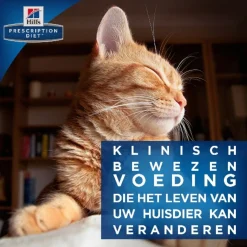 Hill's Prescription Diet K/D Kidney Care Maaltijdzakjes - Kattenvoer - Zalm 12x85 g