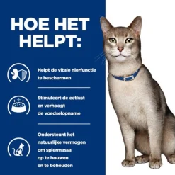 Hill's Prescription Diet K/D Kidney Care Zak Tonijn - Kattenvoer