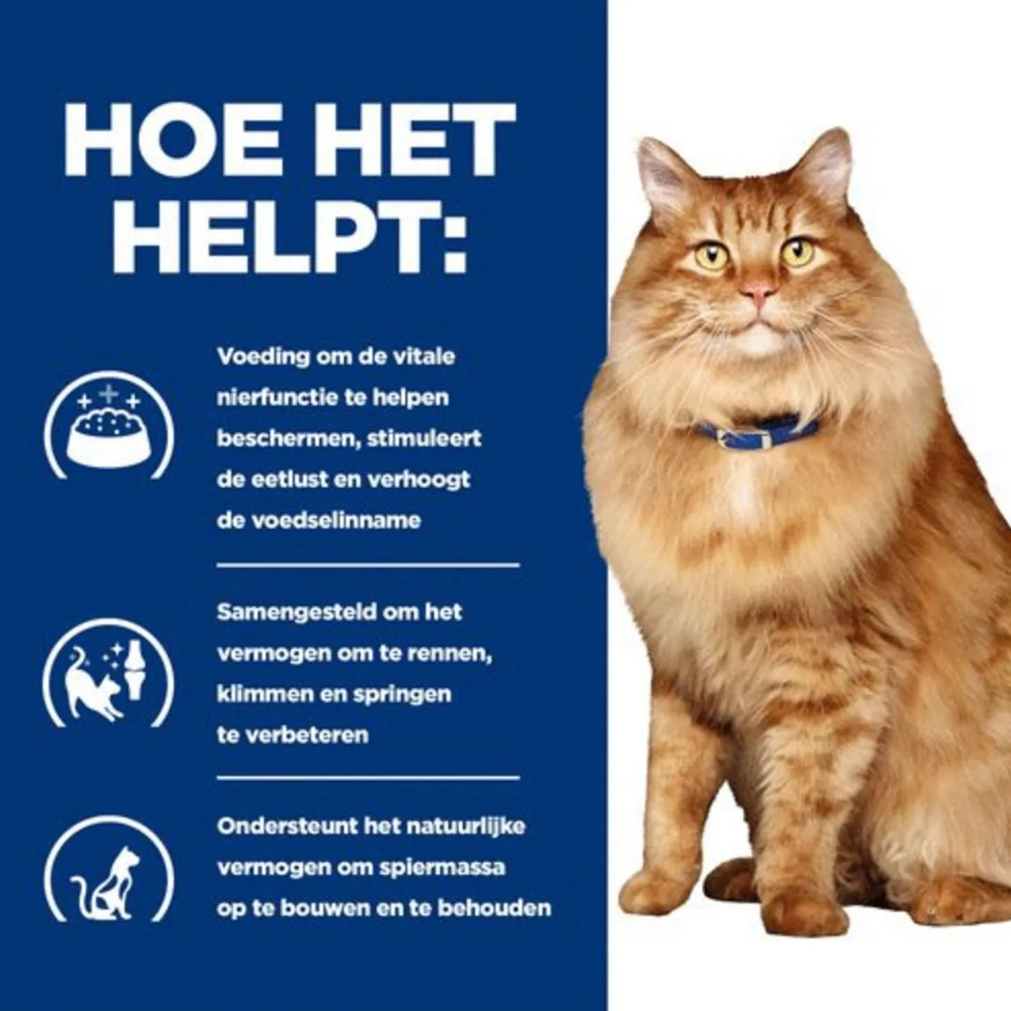 Hill's Prescription Diet K/D + Mobility - Kidney + Joint Care Maaltijdzakjes - Kattenvoer - Kip 12x85 g