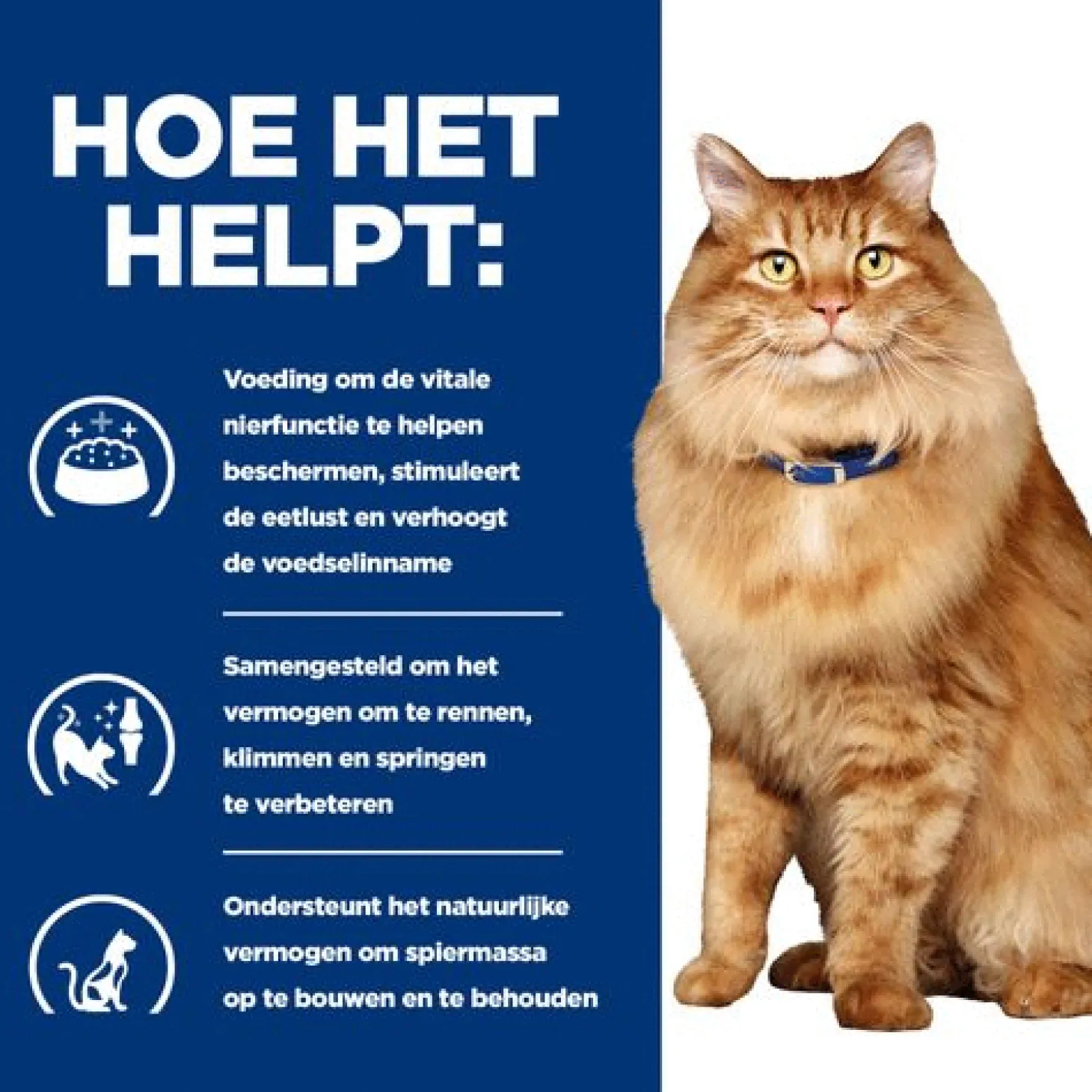 Hill's Prescription Diet K/D + Mobility - Kidney + Joint Care Zak Kip - Kattenvoer