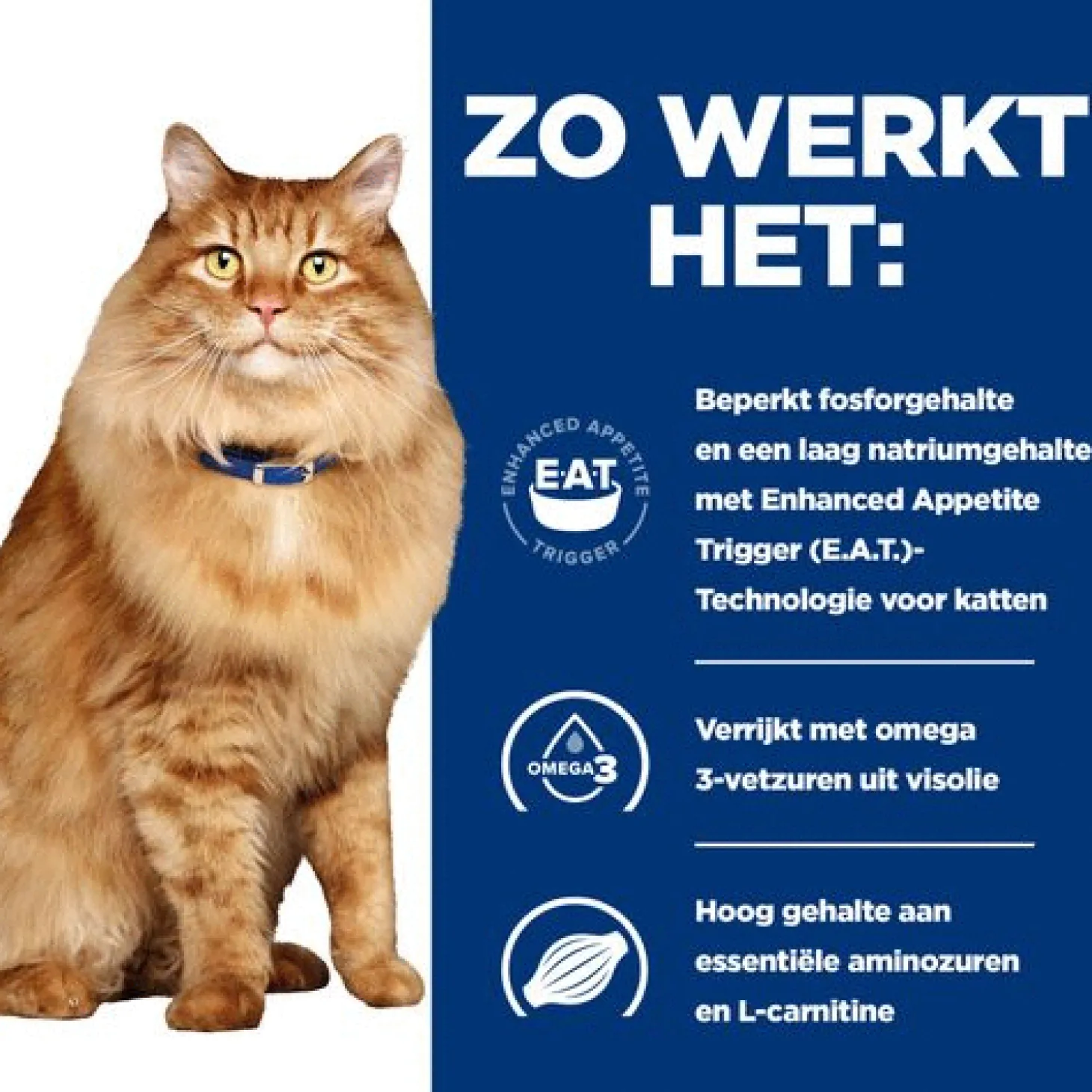 Hill's Prescription Diet K/D + Mobility - Kidney + Joint Care Zak Kip - Kattenvoer