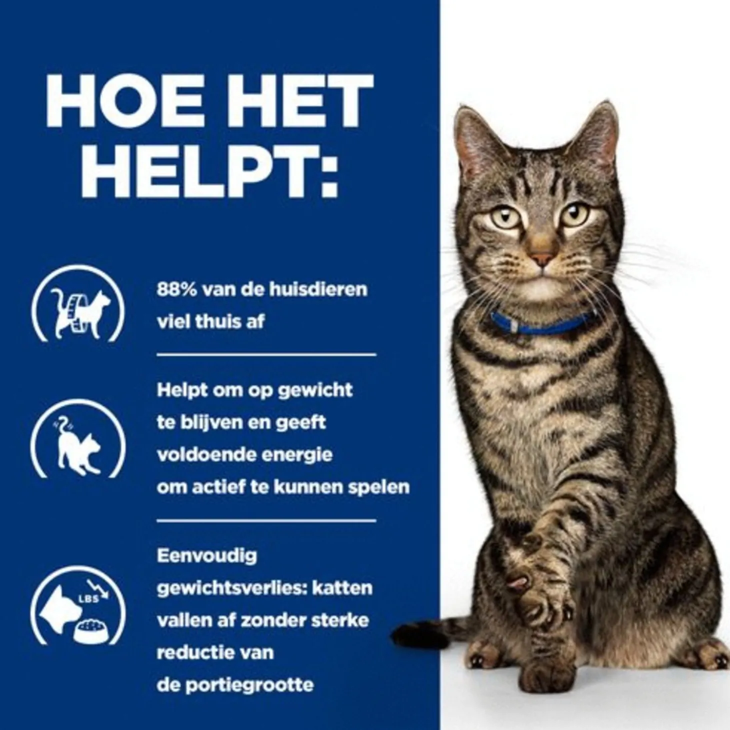Hill's Prescription Diet Metabolic Weight Management Zak Kip - Kattenvoer