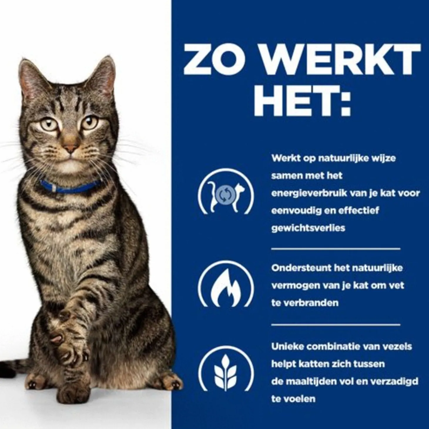 Hill's Prescription Diet Metabolic Weight Management Zak Kip - Kattenvoer