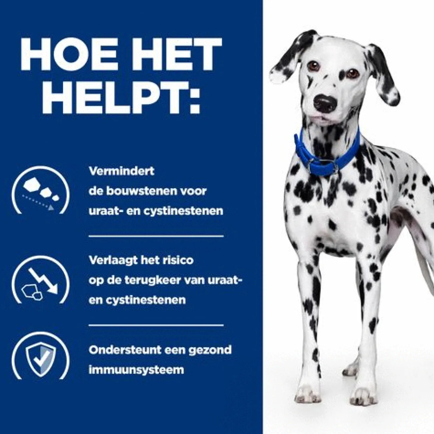 Hill's Prescription Diet U/D Urinary Care Zak - Hondenvoer