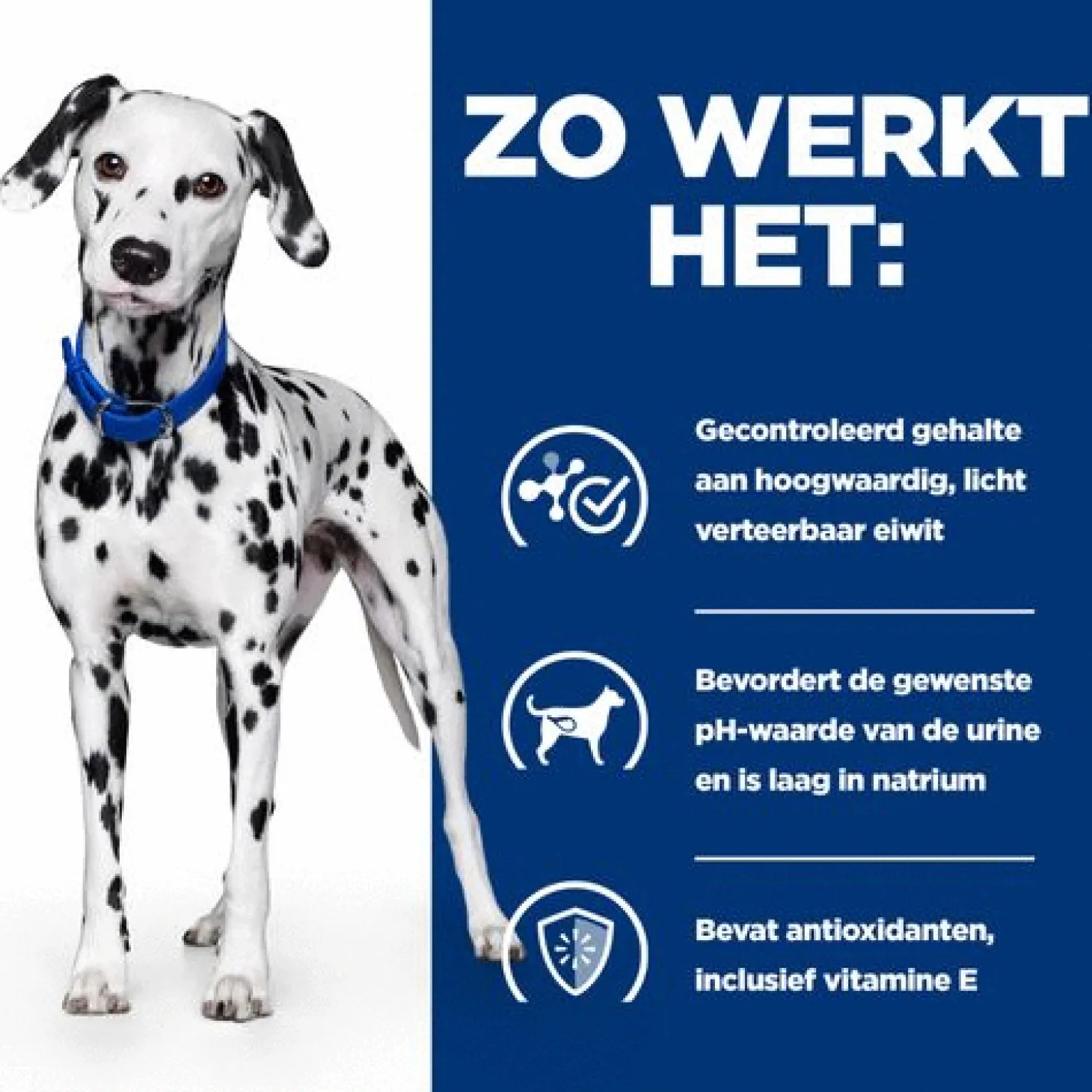 Hill's Prescription Diet U/D Urinary Care Zak - Hondenvoer