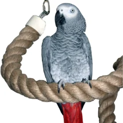 Homestyle Vogelspeelgoed Touw - Vogelspeelgoed - 200x4 cm Xxl