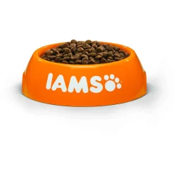 Iams Kitten & Junior Kip - Kattenvoer
