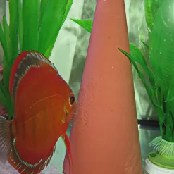 Jbl Kuitschietkegel - Aquarium Toebehoren - 1 stuk
