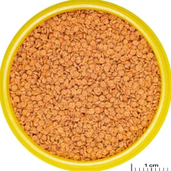 Jbl Pronovo Betta Grano Click - Vissenvoer - 100 ml S