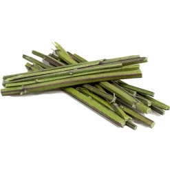 Jr Farm Catnip Sticks - Kattenspeelgoed - 6 g