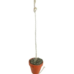 Jr Farm Kleipot Grote Parkiet En Papegaai - Vogelspeelgoed - 13x10x19.5 cm 260 g