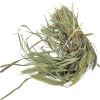 Jr Farm Senegal Gierst - Vogelvoer - 13x5x33 cm 50 g