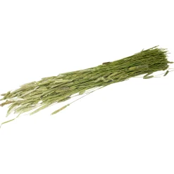 Jr Farm Timothee-Oogst - Ruwvoer - 16x6x65 cm 80 g